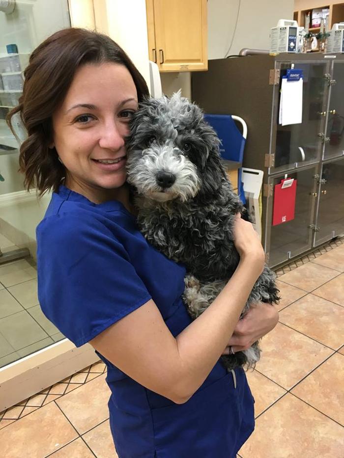 University Animal Clinic Image