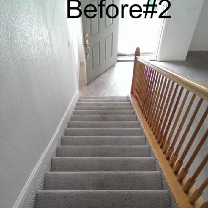 Mountain Standard Carpet & Upholstery Cleaning - Loveland, CO
