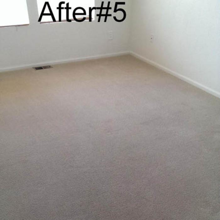 Mountain Standard Carpet & Upholstery Cleaning - Loveland, CO