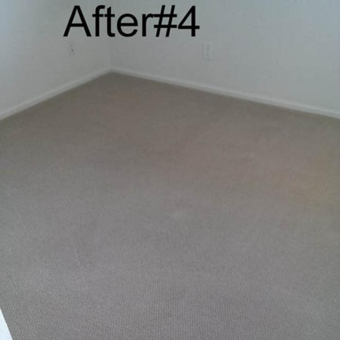 Mountain Standard Carpet & Upholstery Cleaning - Loveland, CO