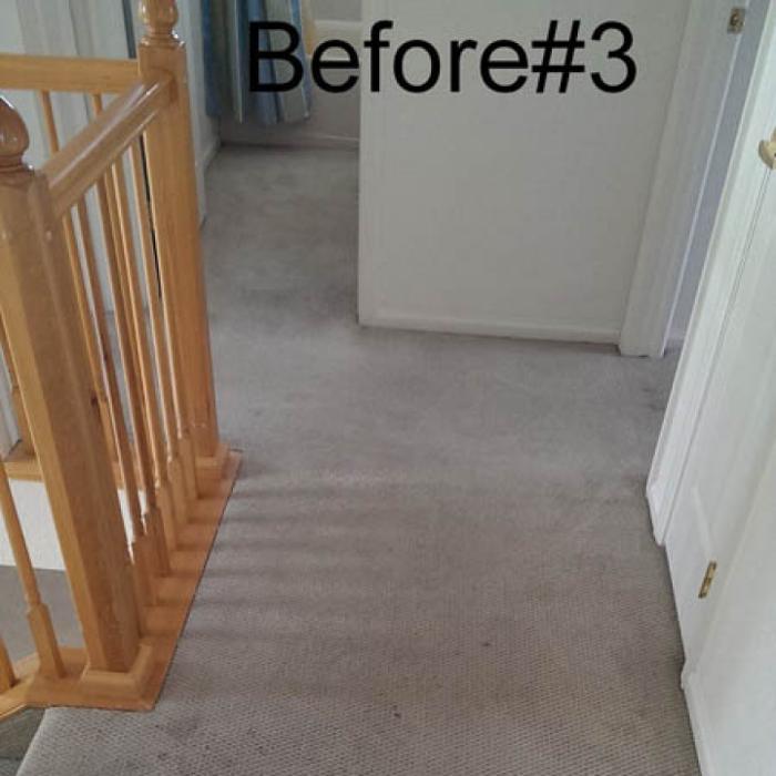 Mountain Standard Carpet & Upholstery Cleaning - Loveland, CO