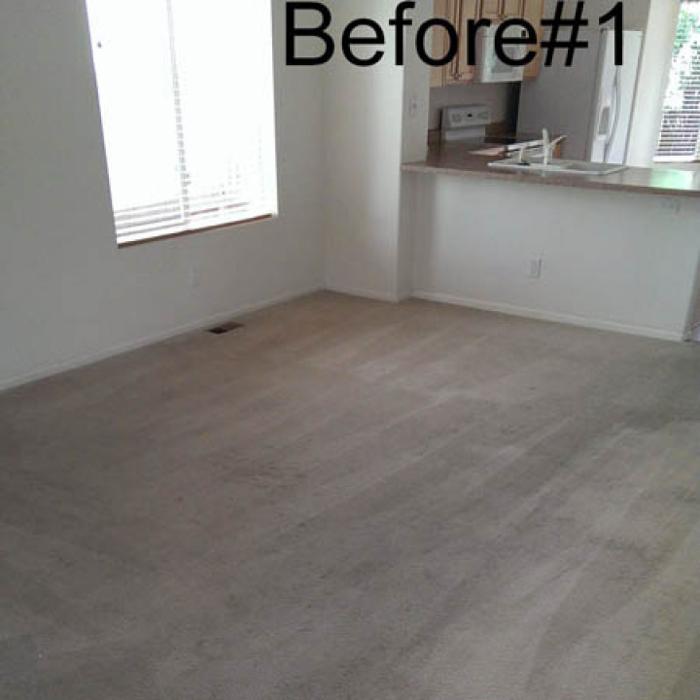 Mountain Standard Carpet & Upholstery Cleaning - Loveland, CO