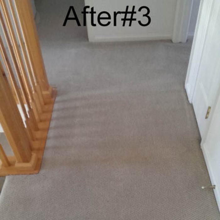 Mountain Standard Carpet & Upholstery Cleaning - Loveland, CO
