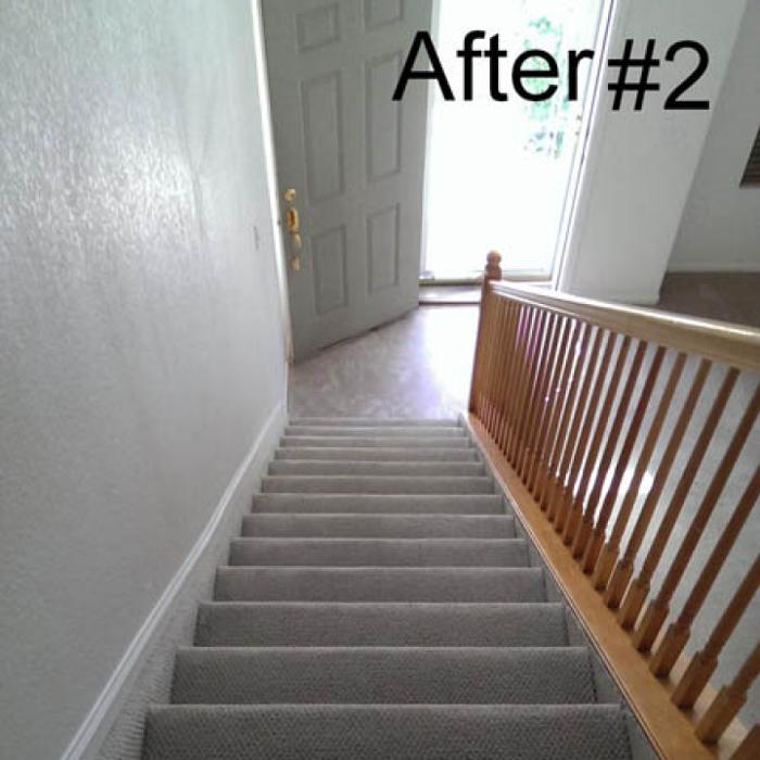 Mountain Standard Carpet & Upholstery Cleaning - Loveland, CO