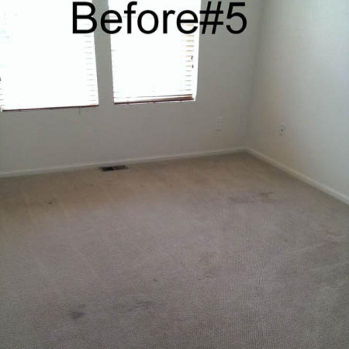 Mountain Standard Carpet & Upholstery Cleaning - Loveland, CO
