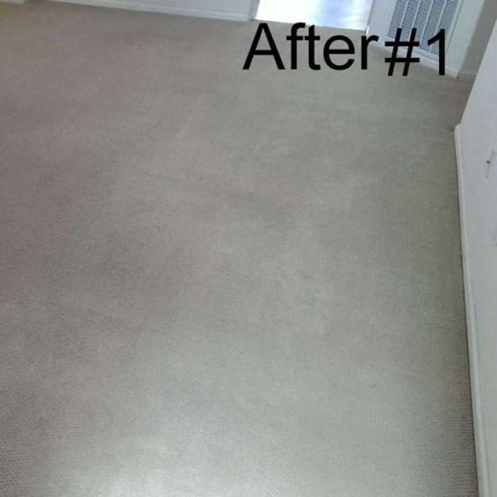 Mountain Standard Carpet & Upholstery Cleaning - Loveland, CO