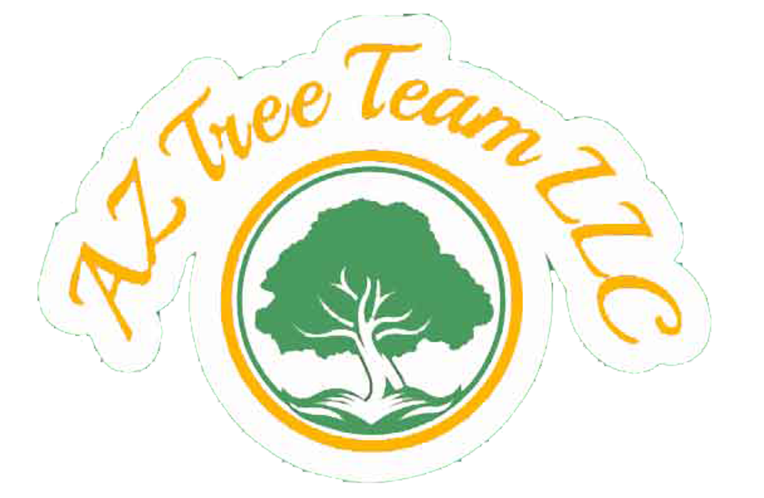 Arizona Tree Team - Phoenix, AZ