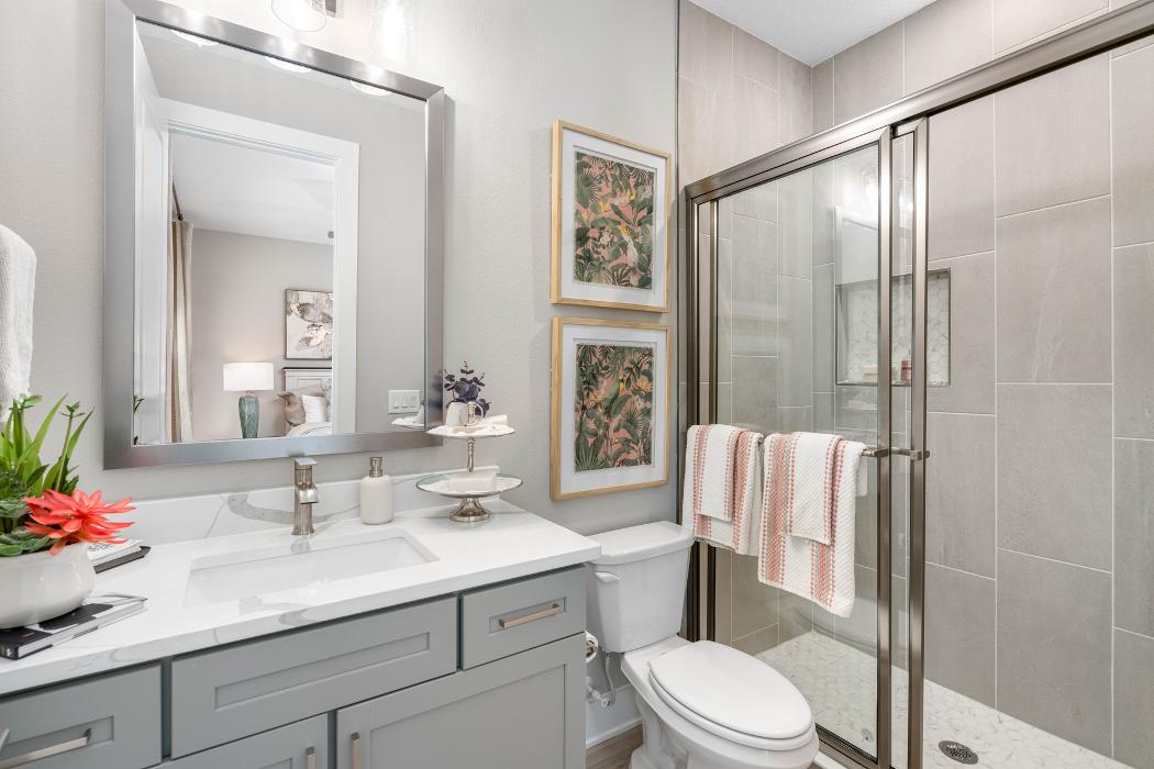 Terrata Homes - Bella Terra Image