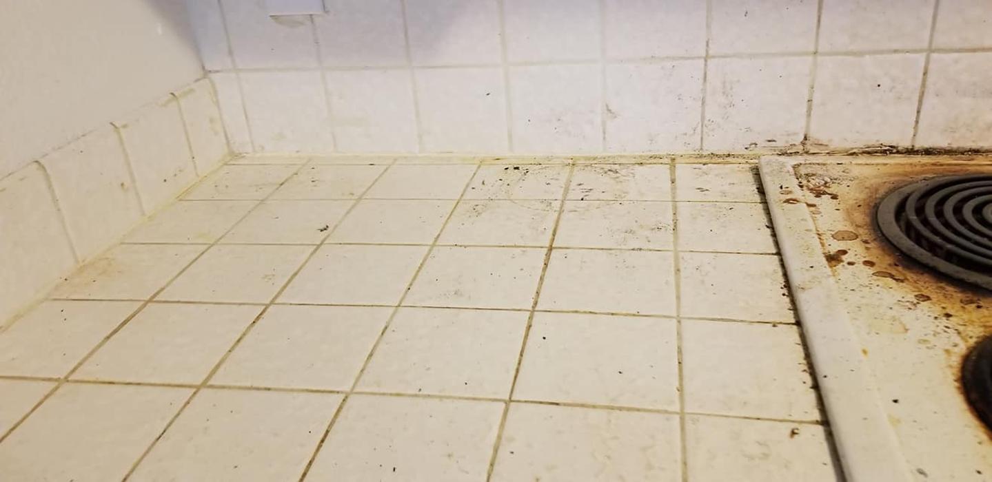 Jax All Clean Janitorial & Building Maintenance - Auburn, CA