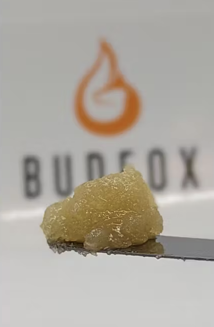 Kind Castle Organic Cannabis Superstore - Commerce City, CO