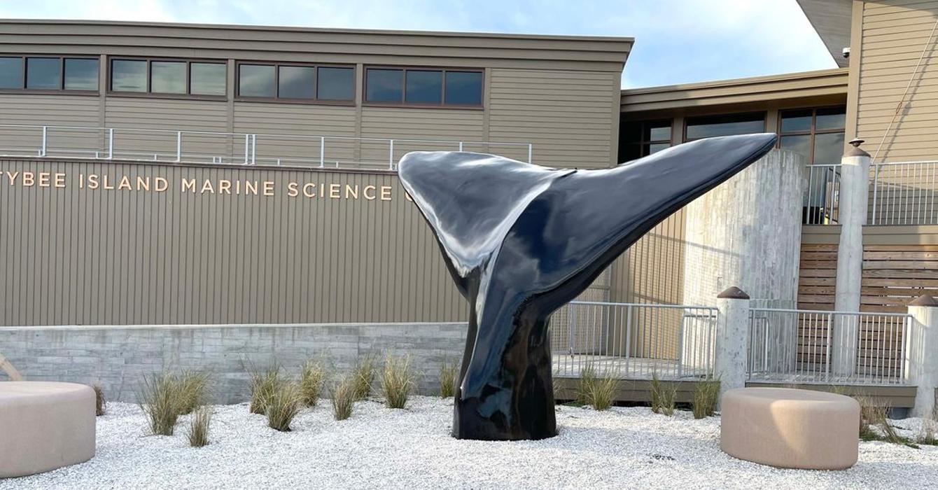 Tybee Island Marine Science Center - Tybee Island, GA
