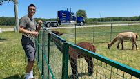 Alpaca Time Harriston (519)327-4566