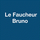 Le Faucheur Bruno Jean-luc Expert