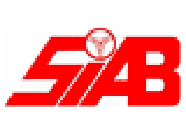 Société Nouvelle SIAB pièces et accessoires automobile, véhicule industriel (commerce)