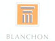 Entreprise Blanchon SA Expert