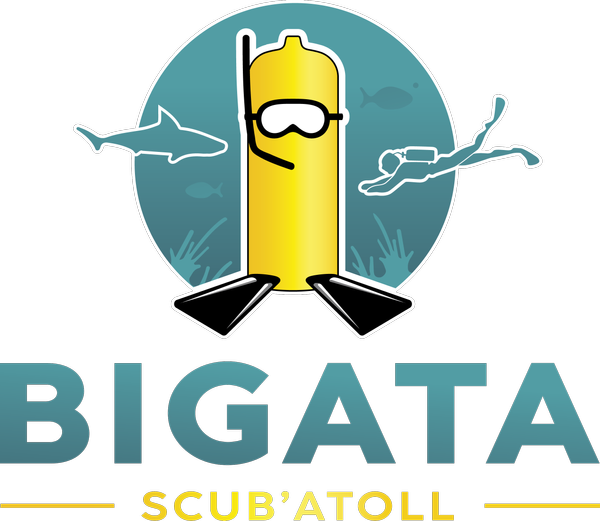 Bigata Scub'Atoll magasin de sport
