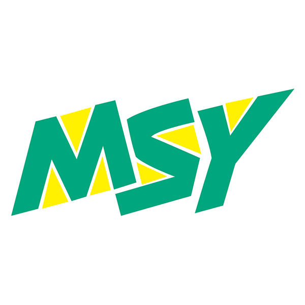 MSY vitrage, produit verrier et miroir (fabrication, négoce)