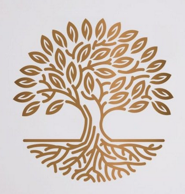 Stéphanie Molya Tellier Etablissements de soins, services de la Santé