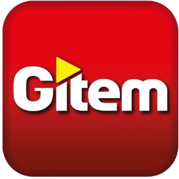 GITEM Menagelec Adhérent dépannage d'électroménager