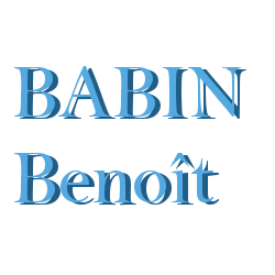 Babin Benoît SARL Expert