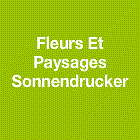 Fleurs Et Paysages Sonnendrucker Expert