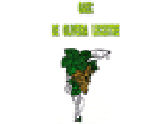 GAEC De Oliveira Lecestre vin (producteur récoltant, vente directe)