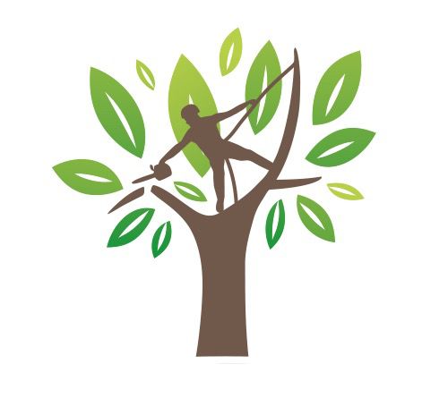 Zm Rénovation Expert