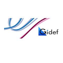 Gidef Expert