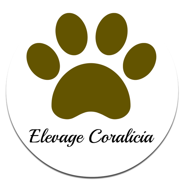 Pension Canine Coralicia