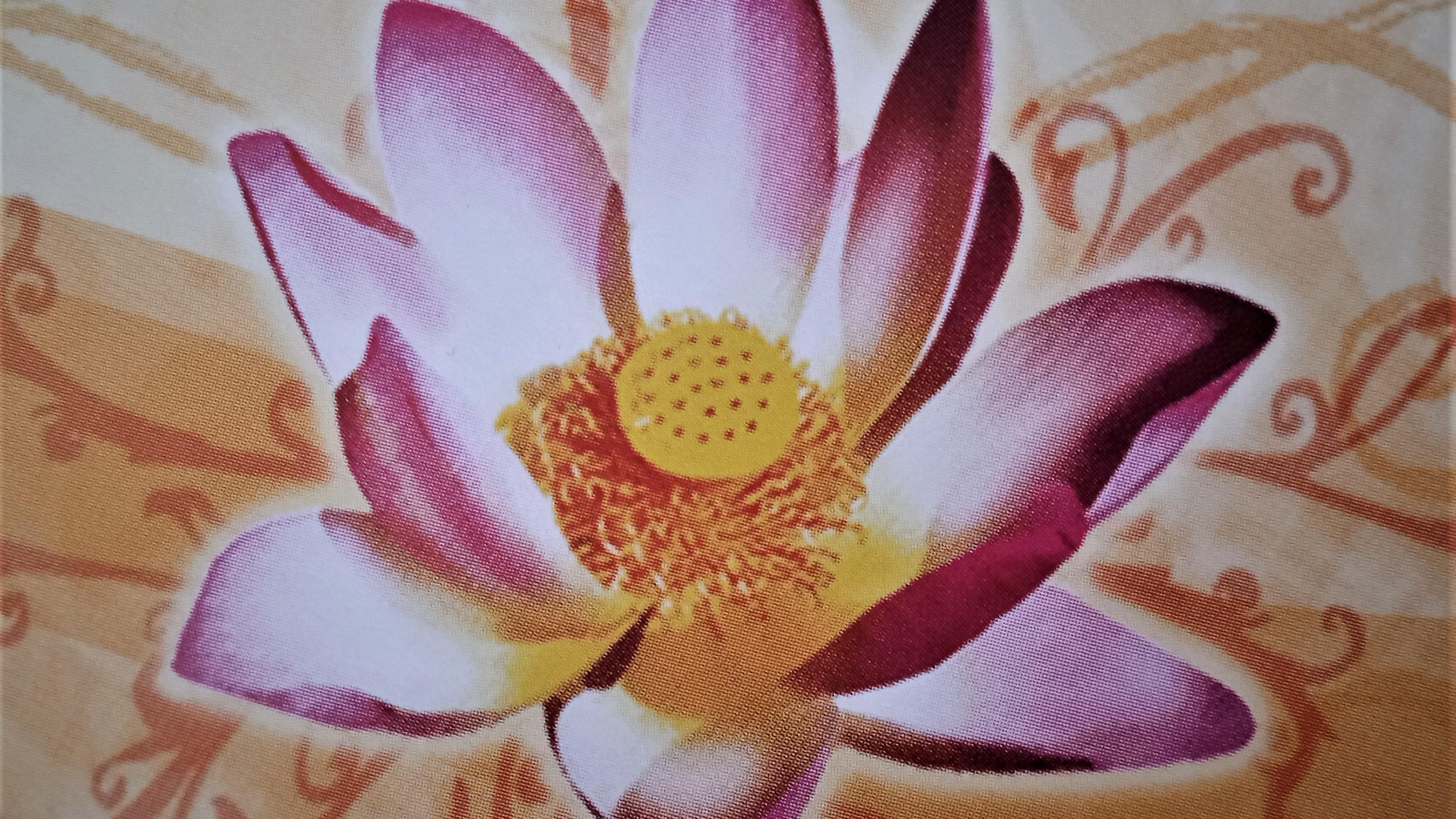 Naturheilzentrum Sangam, Annaburger Straße in Annaburg