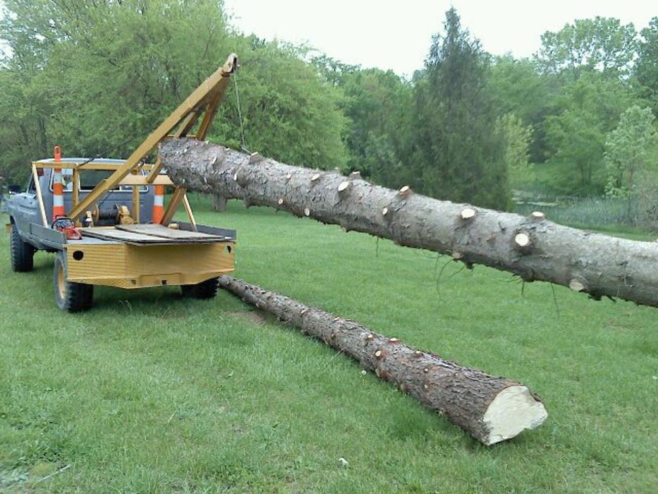 Cincinnati Tree Care - Harrison, OH