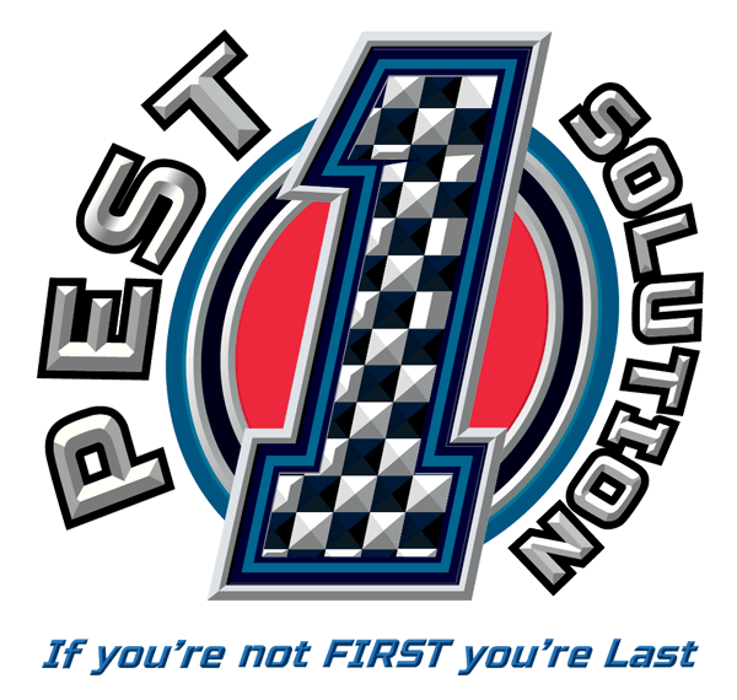 1 Pest Solution - Winston Salem, NC