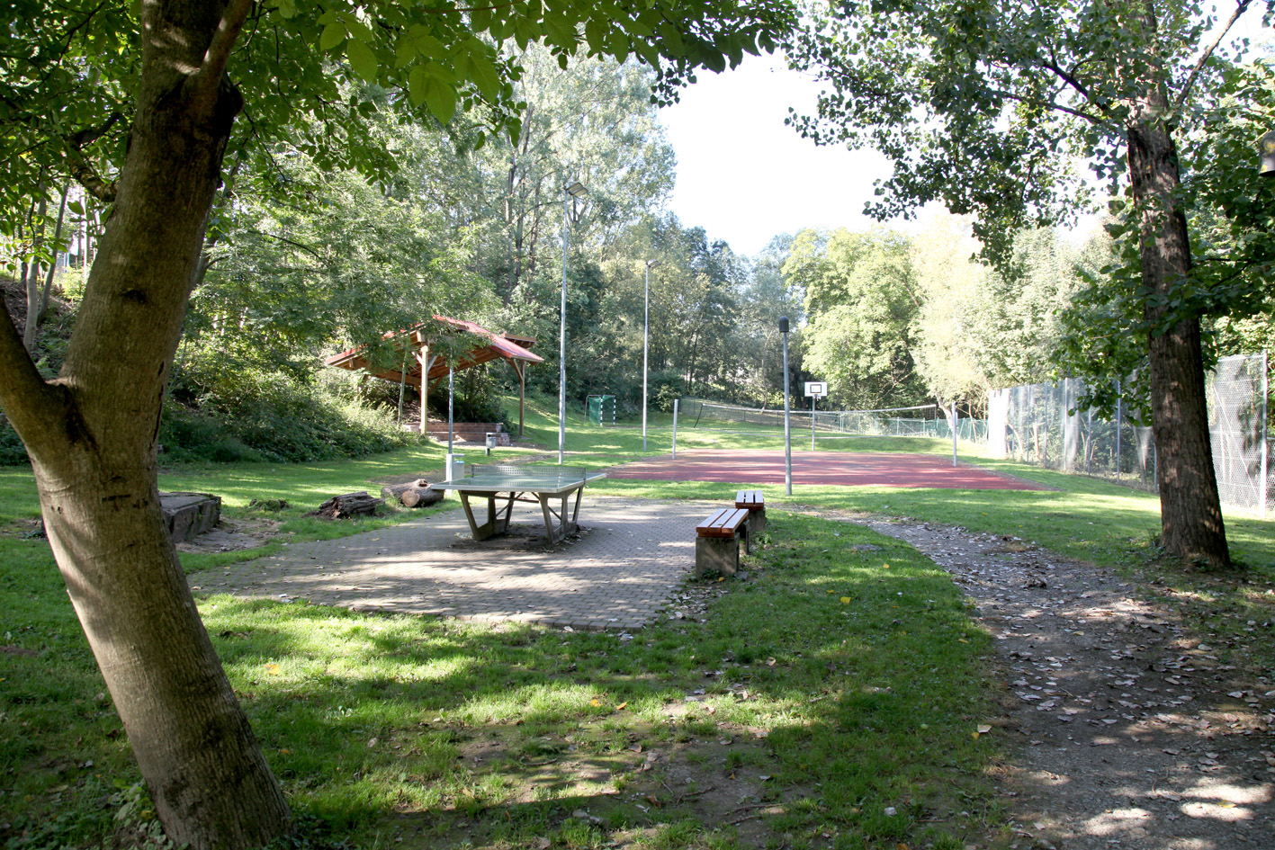 Galerie-Thumbnail