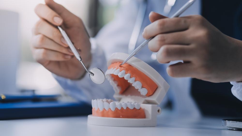 Praxis für Oralchirurgie und Implantologie - Dr. Kleine u. Dr. Naumann, Gartenweg in Mosbach
