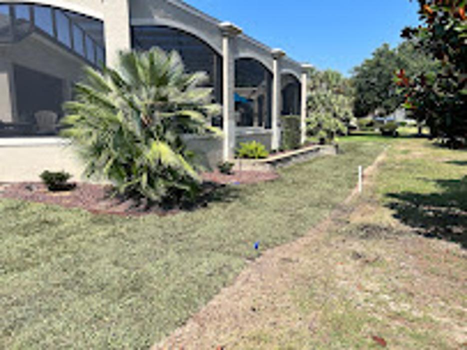 Orange Grove Nursery - Lady Lake, FL