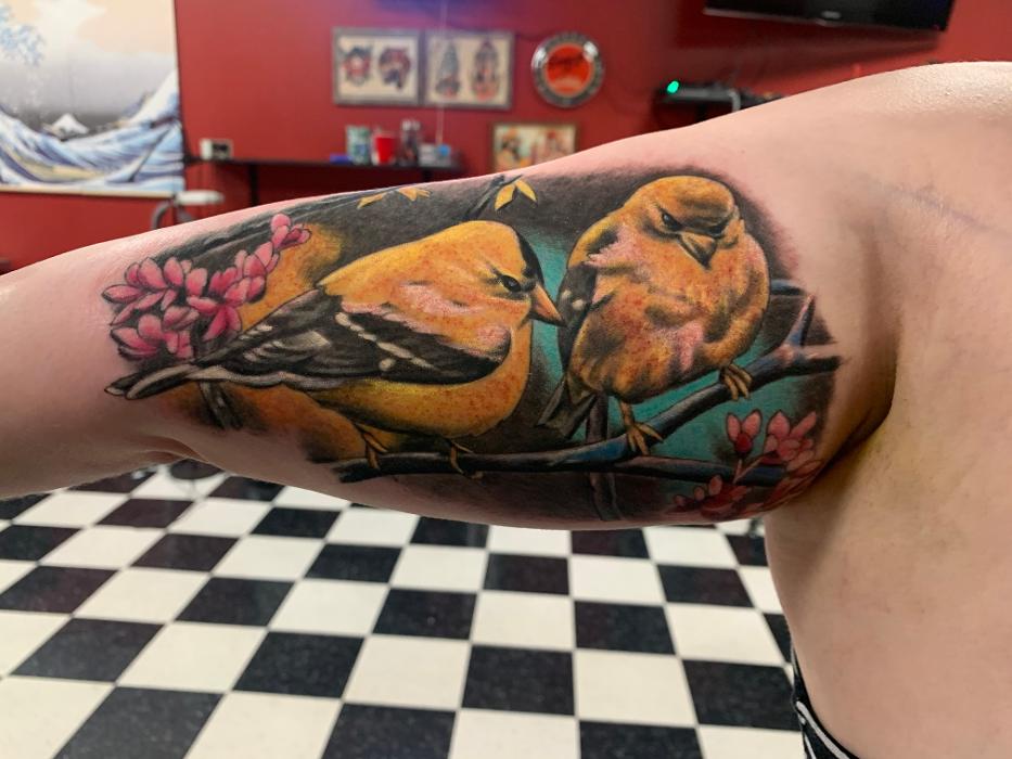 Stray Cat Tattoo - Snohomish, WA