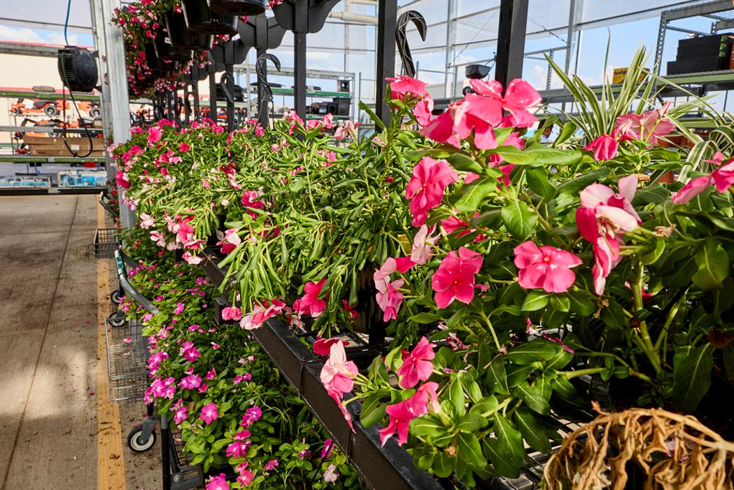 Tractor Supply Co. - Cypress, TX