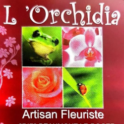 L´Orchidia fleuriste