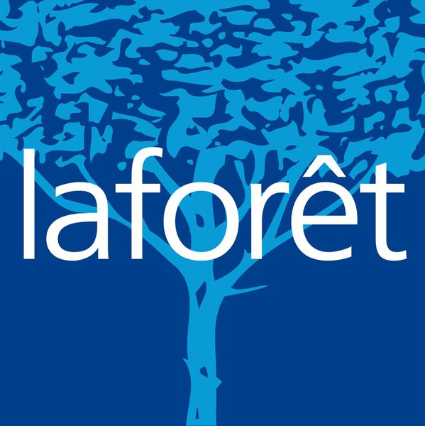 Laforêt organisation internationale