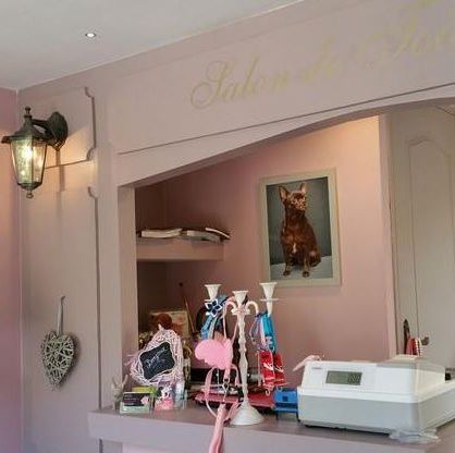 galerie image