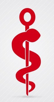 Molard Caroline Autres services