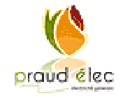 Praud Elec électricité (production, distribution, fournitures)