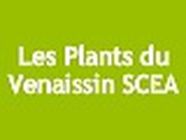 Les Plants du Venaissin SCEA jardinerie, végétaux et article de jardin (détail)