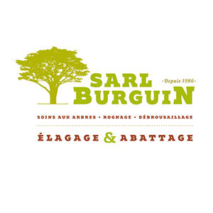 Burguin SARL Expert