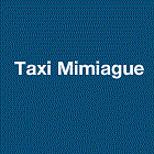 Taxi Communal Belin-Beliet taxi