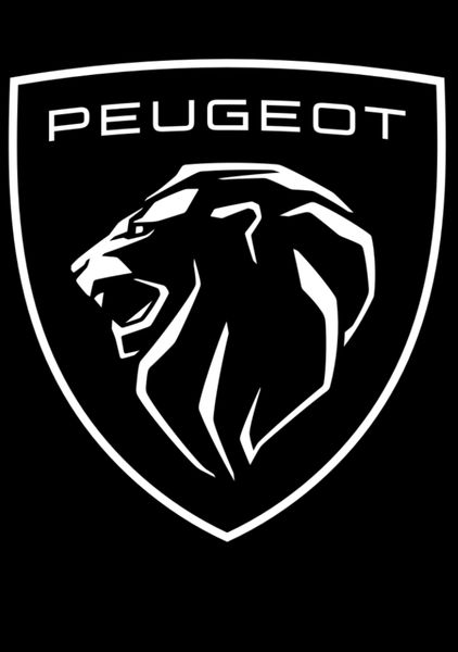 PEUGEOT GARAGE DARRORT AGENT