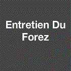 Entretien Du Forez électricité (production, distribution, fournitures)