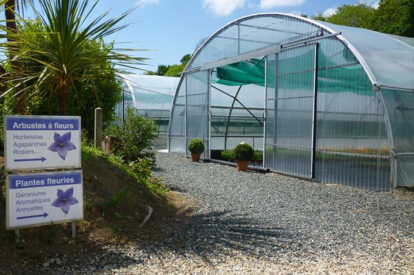 Les Serres de Languivoa Jardins, fleurs, animaux