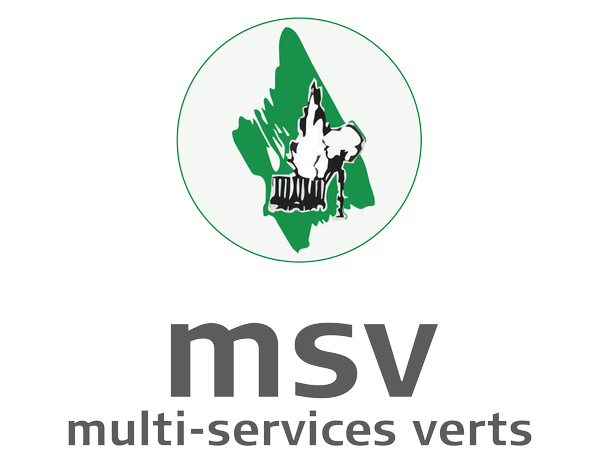 MSV - Multi-Services Verts · Agence de Quimper Expert
