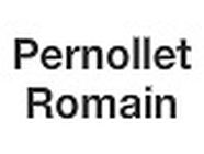 Pernollet Romain chauffage, appareil et fournitures (détail)